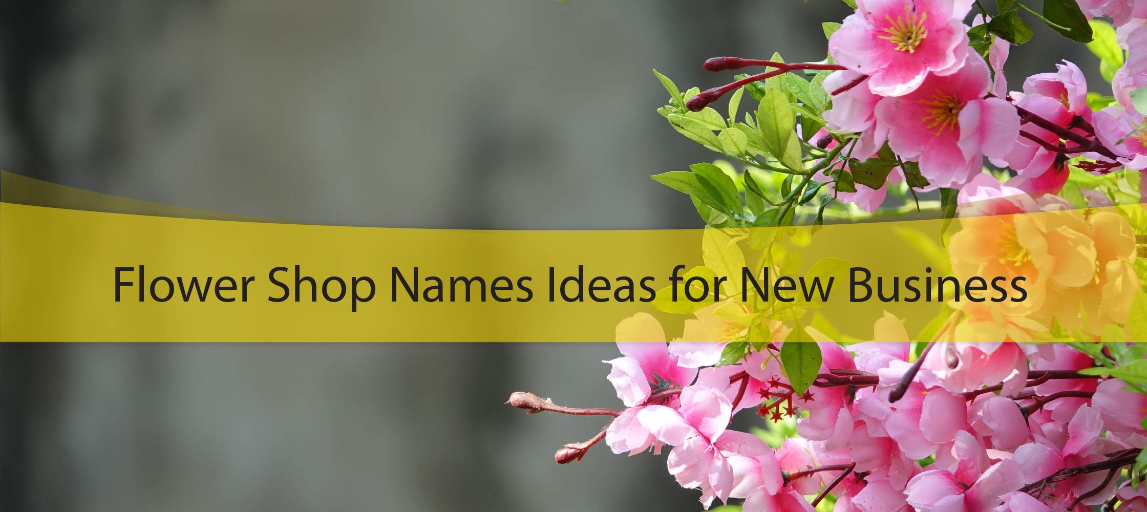 Flower Name Ideas for New Business