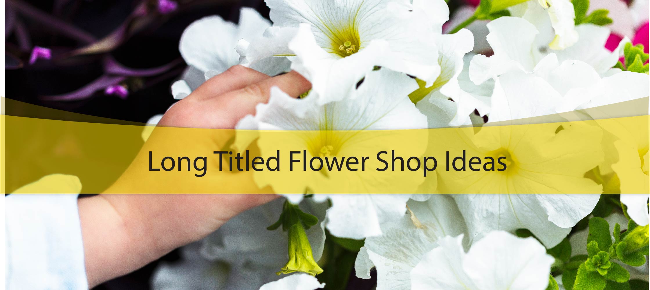 Long Titled Flower Shop Ideas