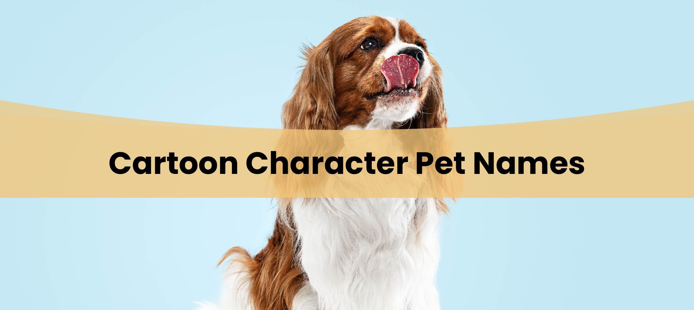 cartoon character pet names