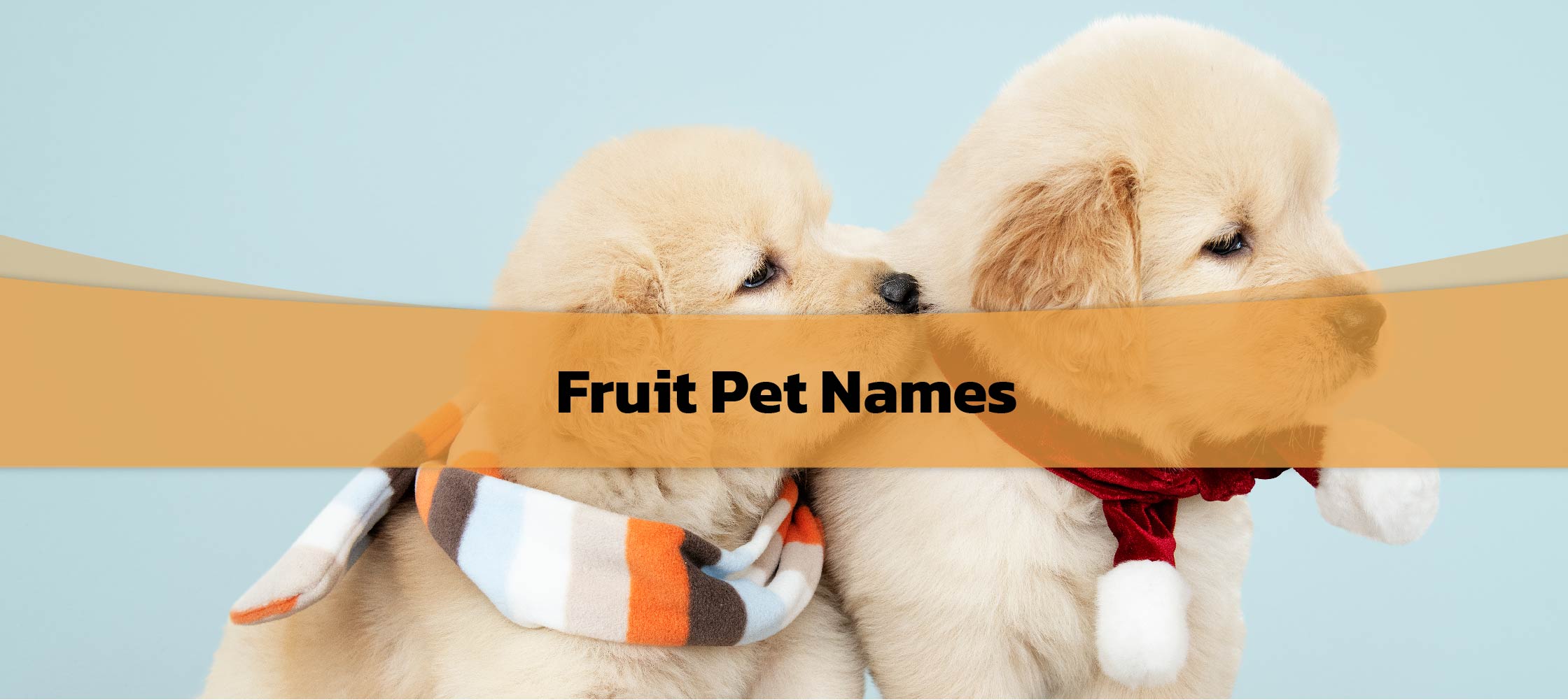 Fruit Pet Names