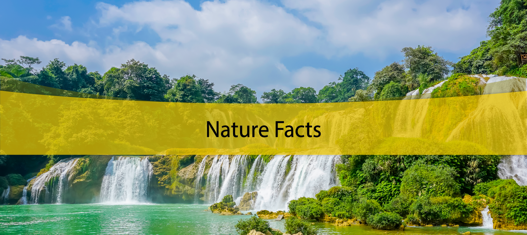 Nature Facts