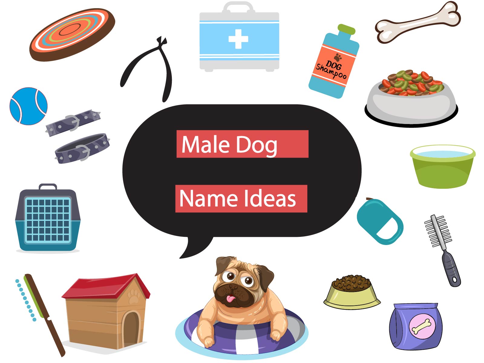 male dog name ideas