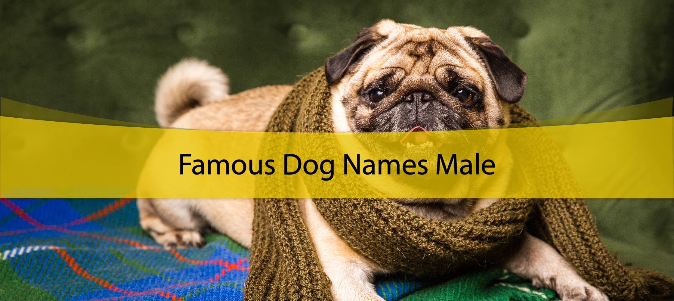 Famous Dog Names Male