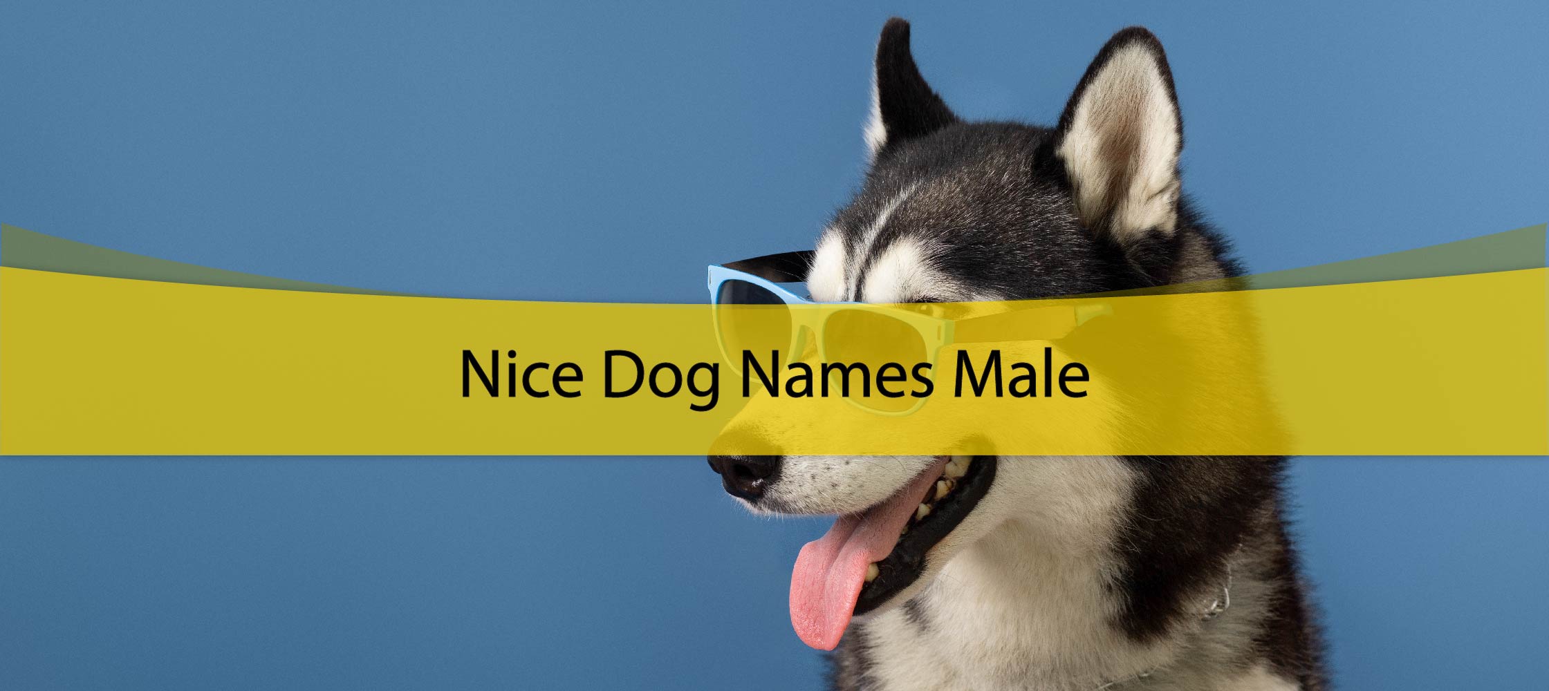 nice dog names male