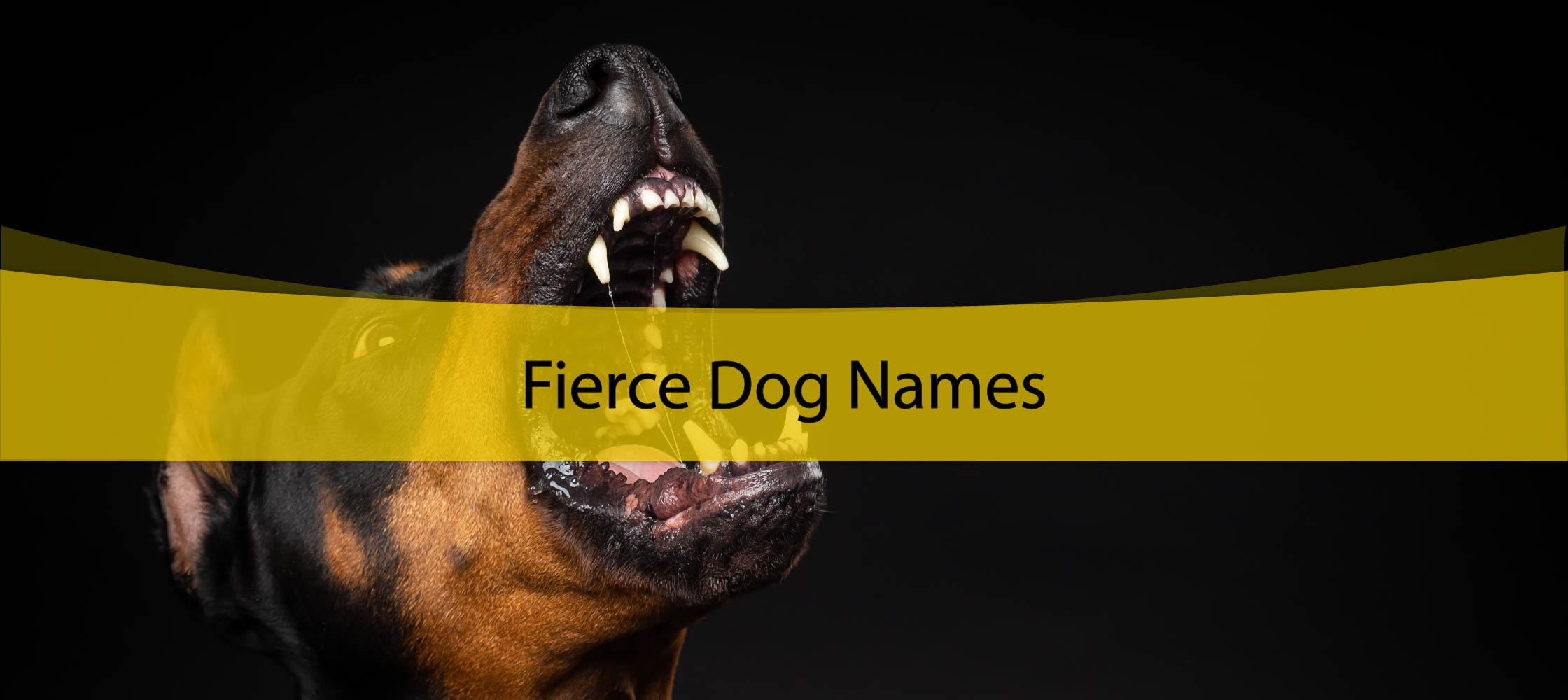 Fierce Dog Names
