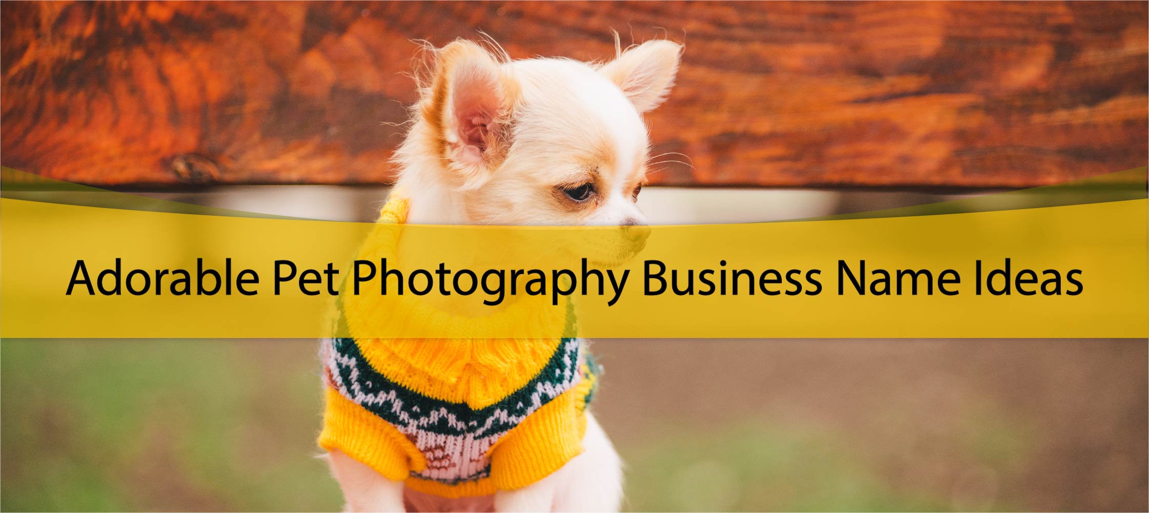 Adorable Pet Photography Business Name Ideas