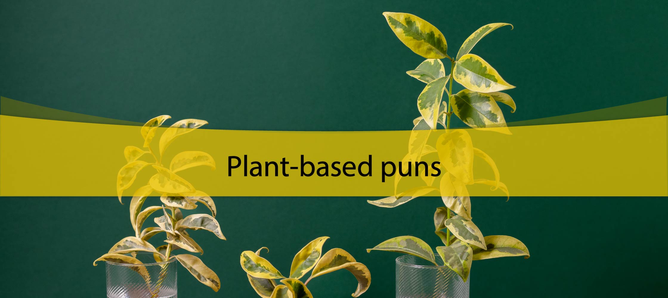 Plant based puns