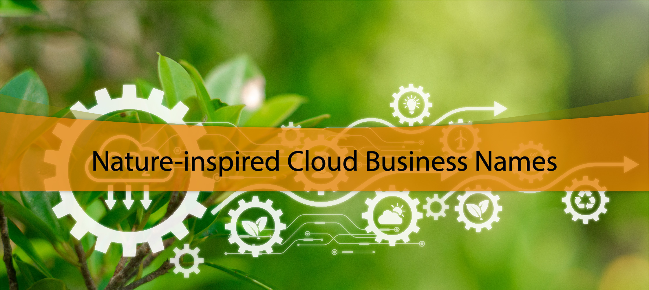 Nature-inspired Cloud Business Names