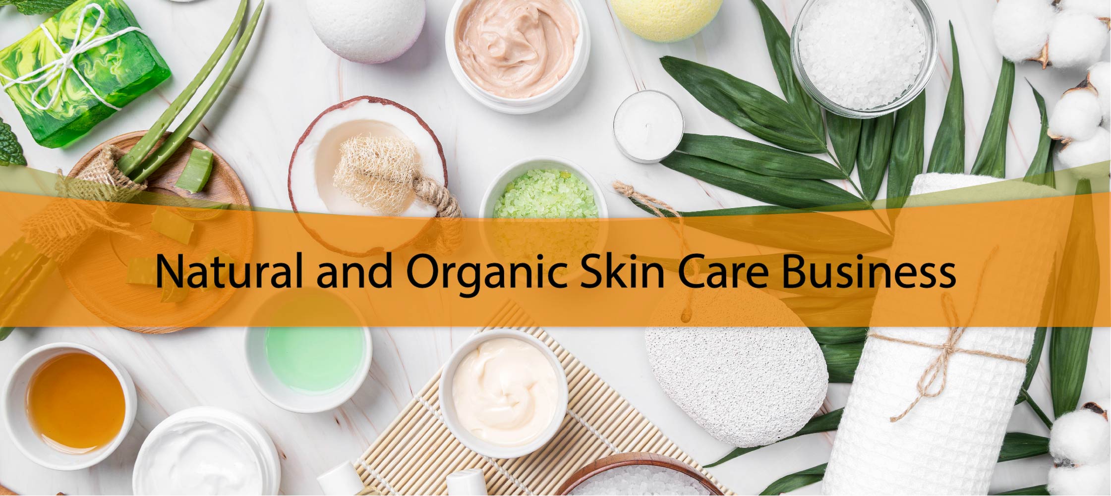 Natural and Organic Skin Care Business