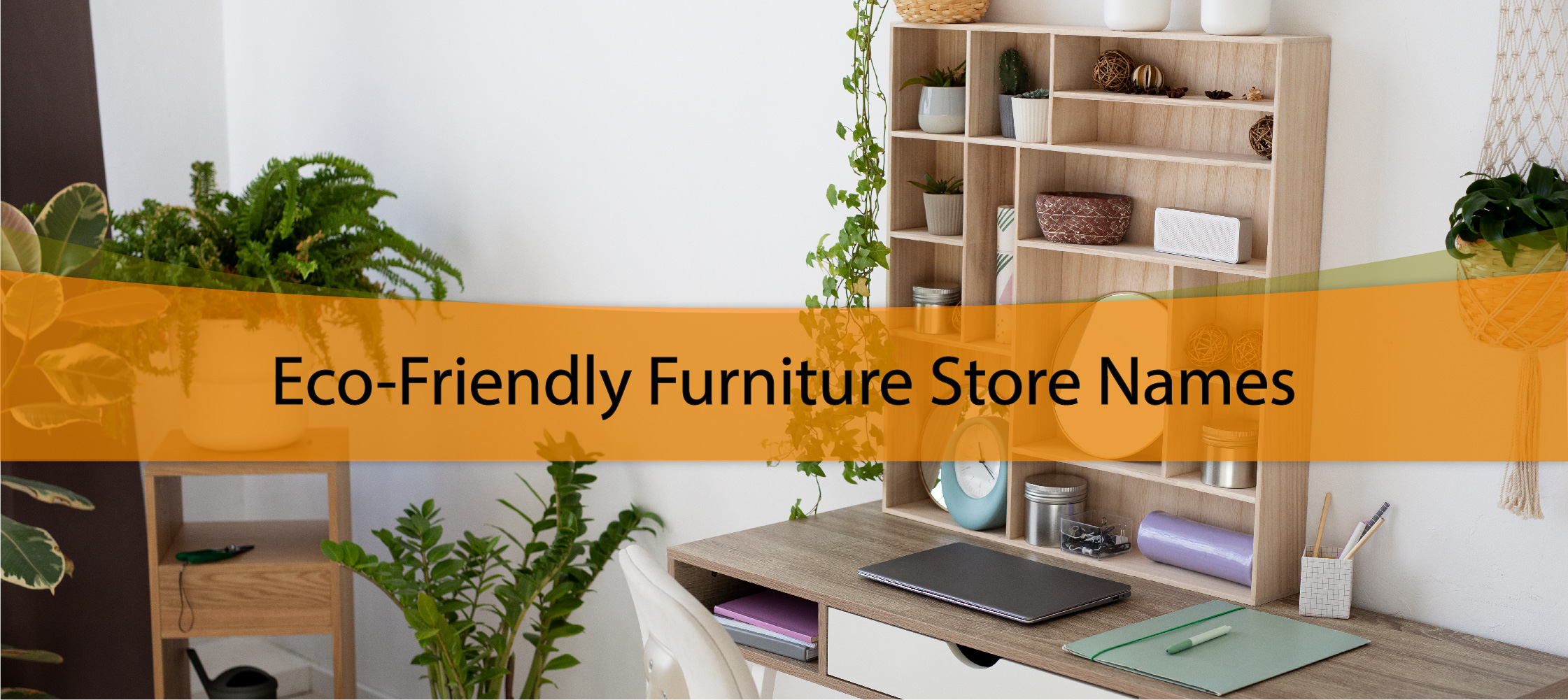 Eco-Friendly Furniture Store Names
